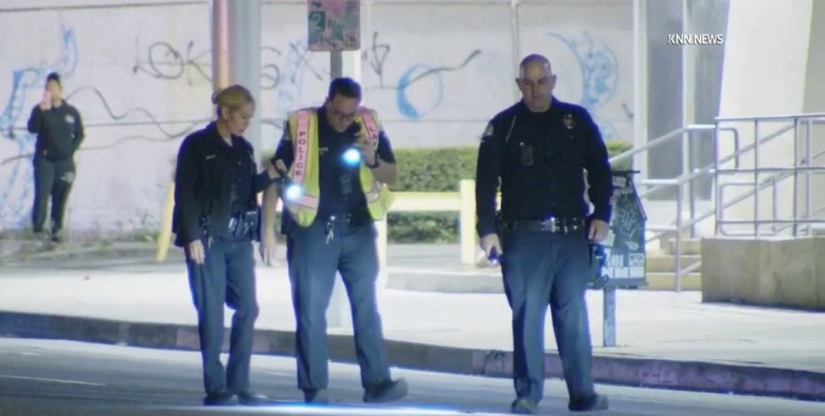 Hit-and-run driver kills woman in crosswalk with cane, witnesses say