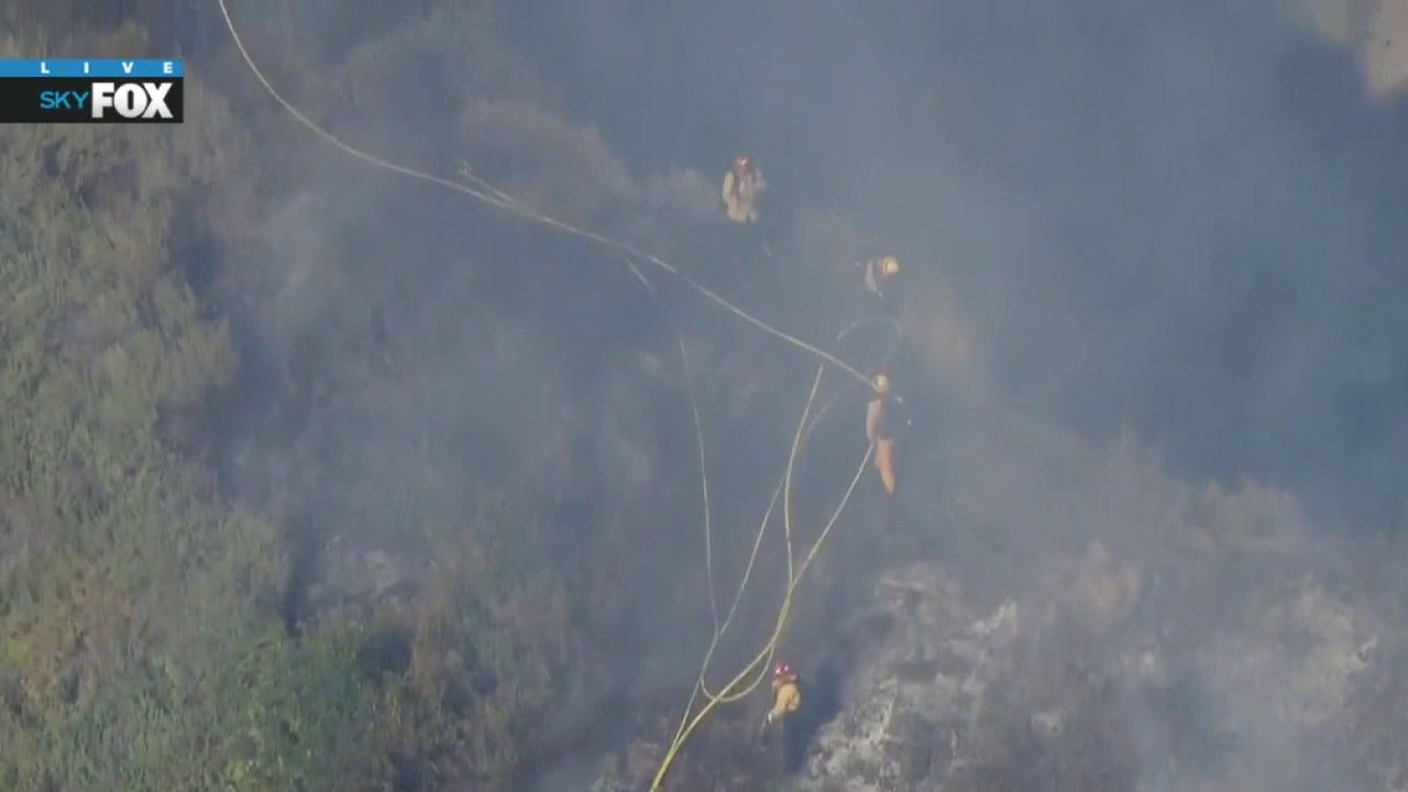 Small brush fire breaks out in Hollywood Hills; No injuries reported
