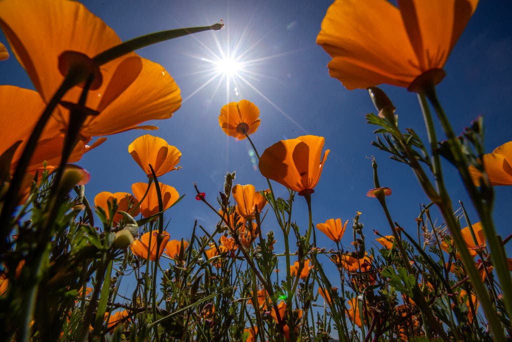 Southern California forecast: Here's what to expect for Mother's Day weekend