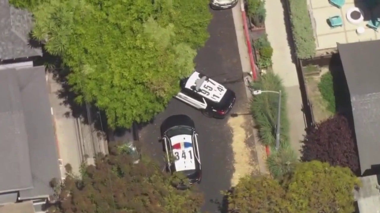 Venice residents concerned about recent violent attacks