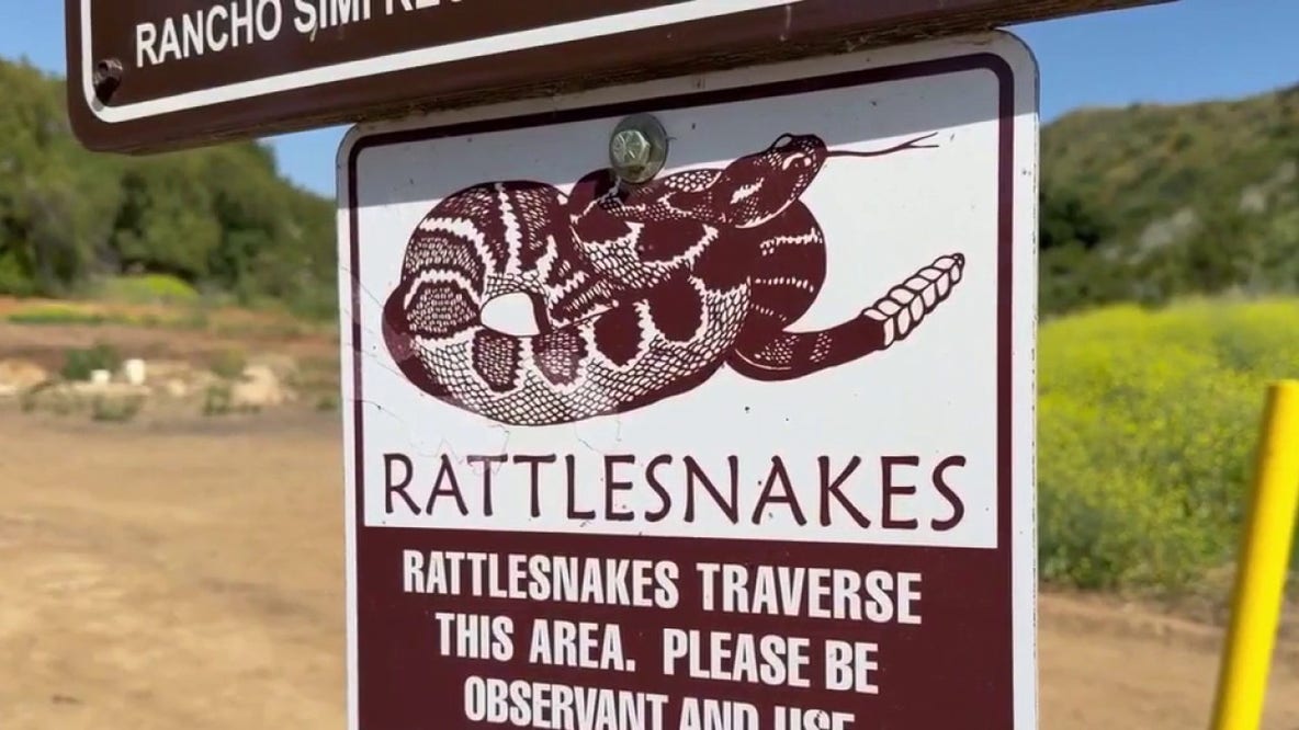 7th rattlesnake bite reported in Ventura County since March