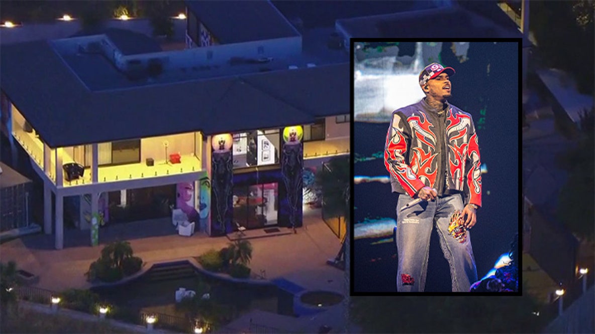 Trespasser arrested for third time this week at Chris Brown’s San Fernando Valley estate