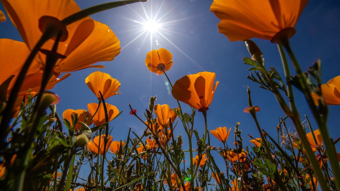 Southern California forecast: Here's what to expect for Mother's Day weekend