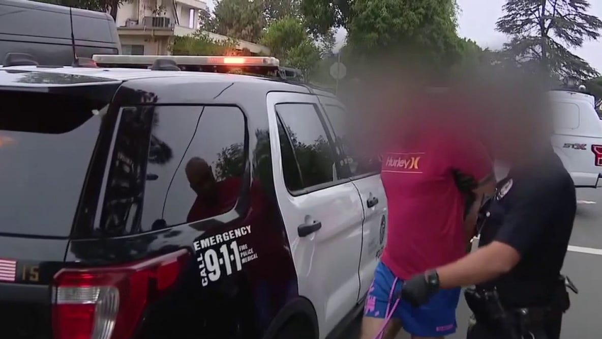 LAPD, federal agents launch major child pornography sting in North Hollywood