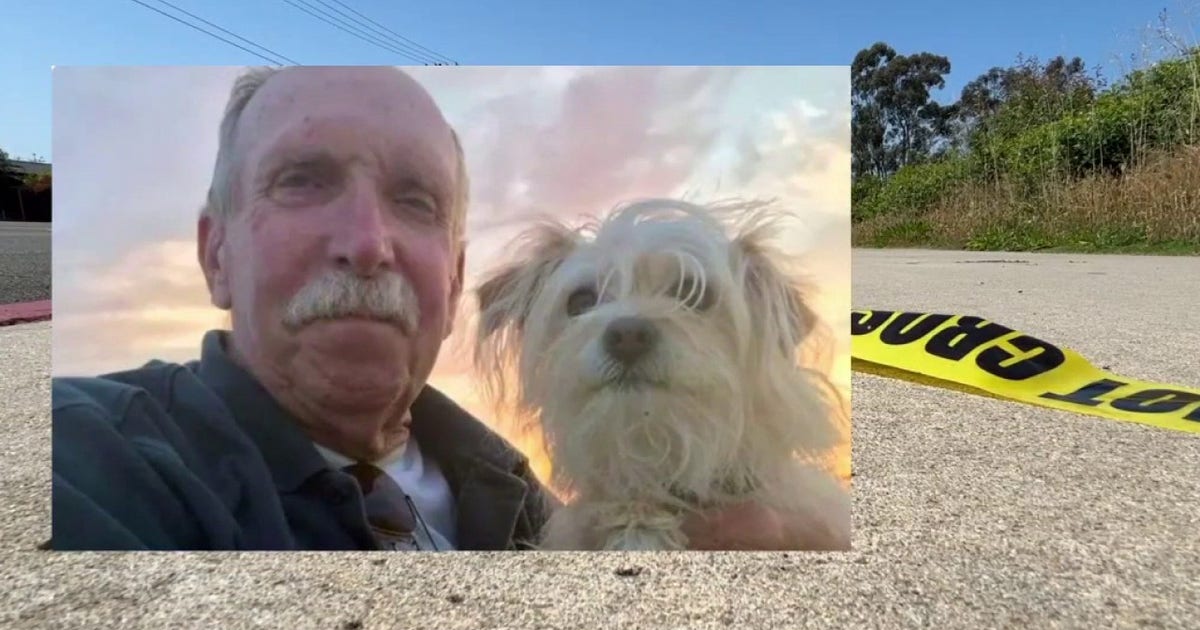 81-Year-Old Teacher Dies After Teen on Illegal E-Motorcycle Strikes Him in Lake Forest Hit-and-Run — image 1