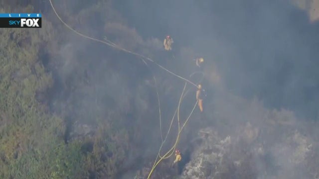 Small brush fire breaks out in Hollywood Hills; No injuries reported
