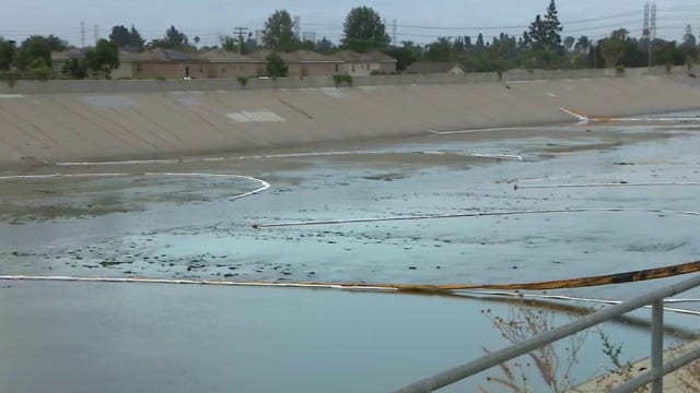 Cleanup continues miles down LA River after major oil spill