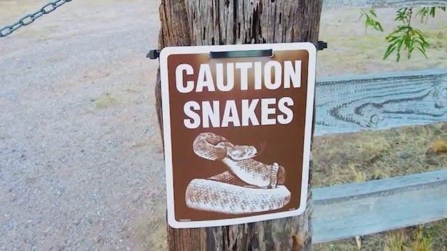 California reports 3rd rattlesnake death as record heat triggers aggressive season