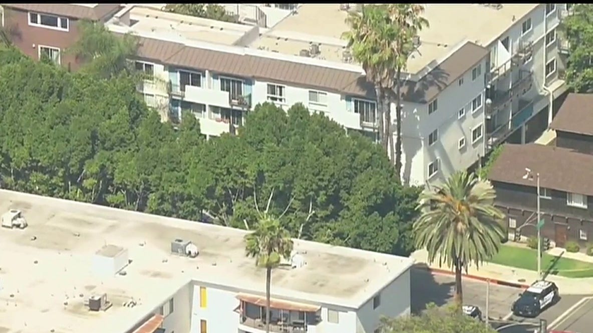 LIVE: Mountain lion found in Pasadena
