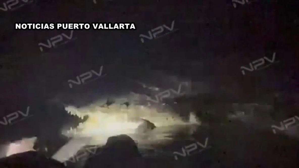 Deadly Mexico crocodile attack: OC couple details desperate rescue attempt