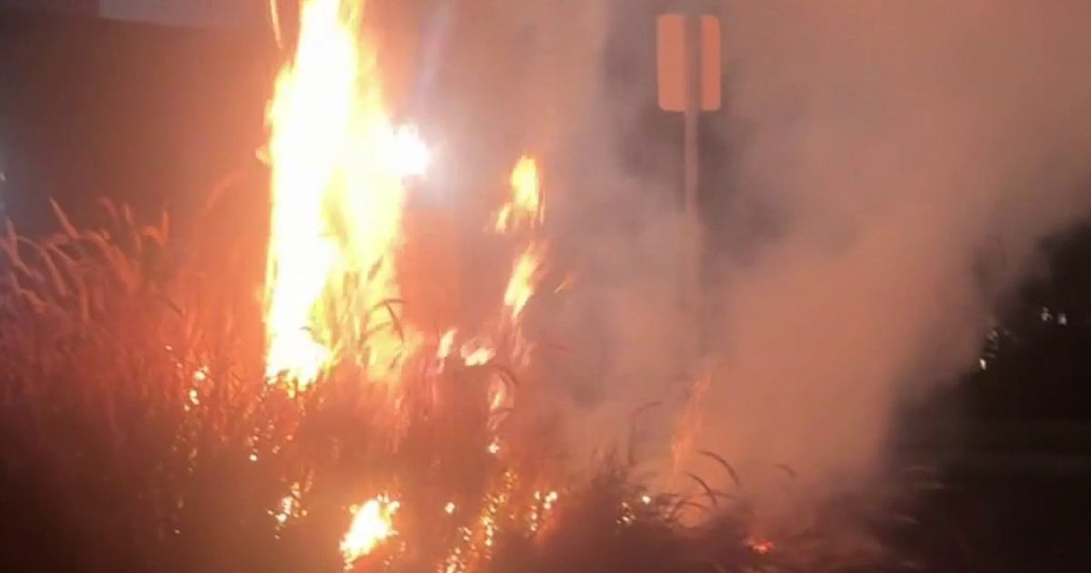Arson News Image