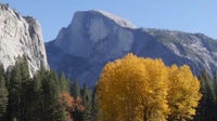 California launches free state historic parks pass for Juneteenth and 250th anniversary