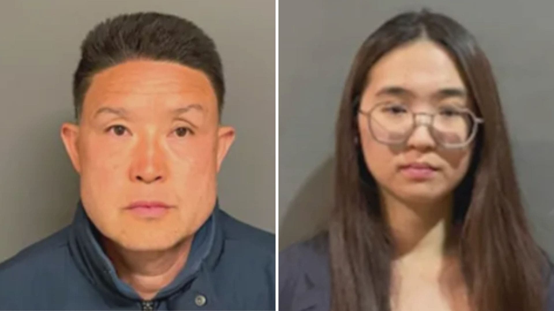 Irvine dog trainer sentenced to 12 years for killing 11 dogs in his care