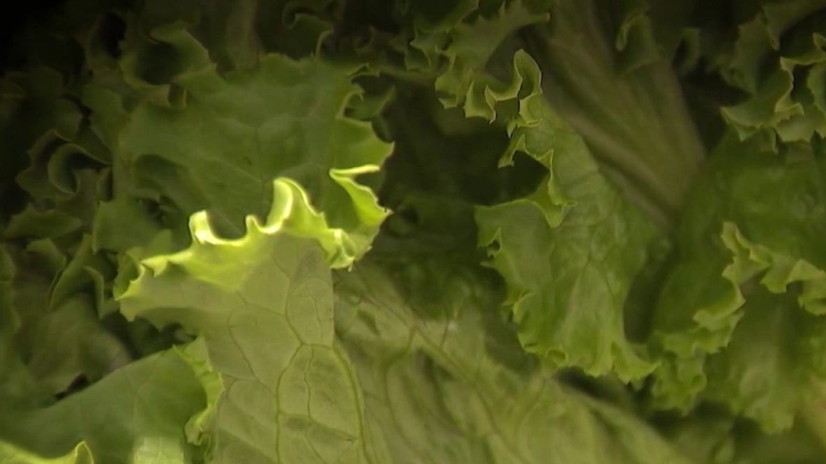 California's Taylor Farms under federal investigation in nationwide cyclospora outbreak