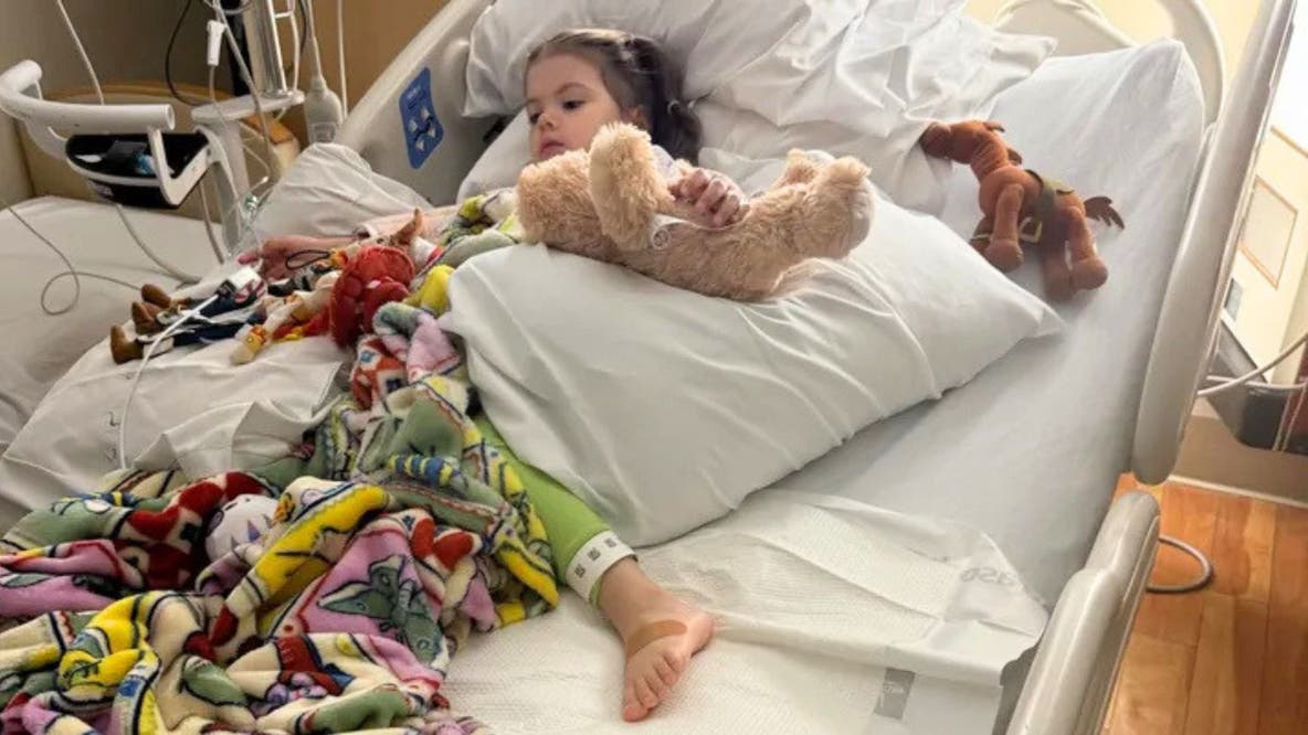 3-year-old bitten by rattlesnake hiding under Amazon package in Santa Clarita