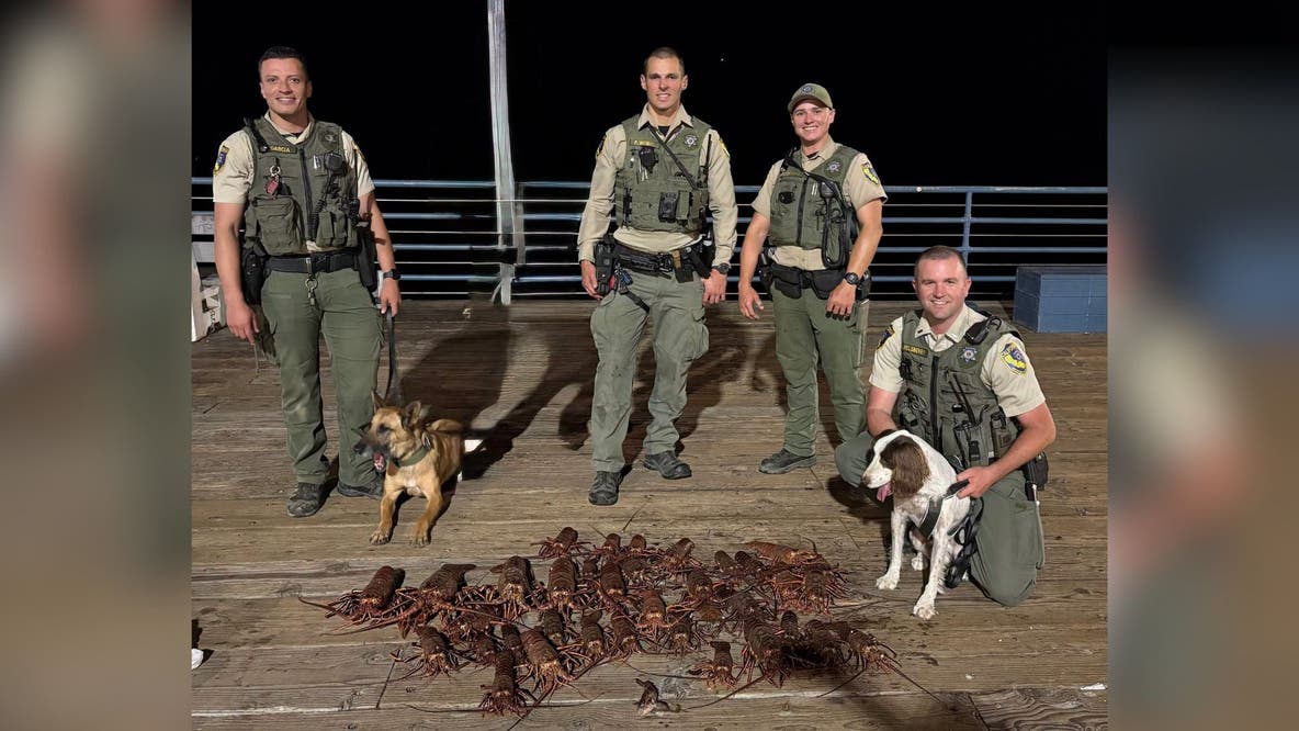 6 arrested at Santa Monica Pier in spiny lobster poaching crackdown