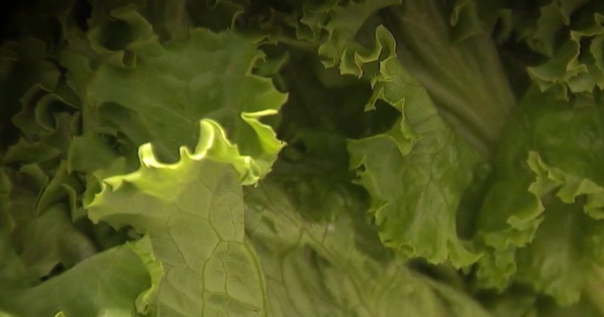 FDA Names Taylor Farms as the Likely Source of the Taco Bell Lettuce Parasite Outbreak