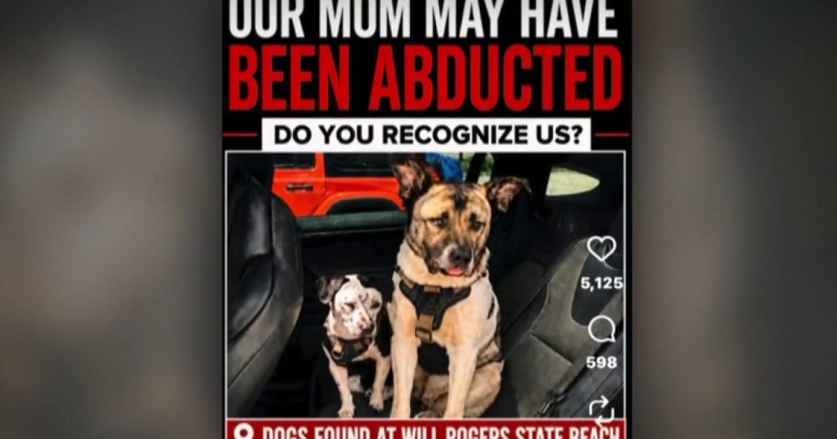 2 dogs found alone at Will Rogers State Beach spark mystery over missing owner