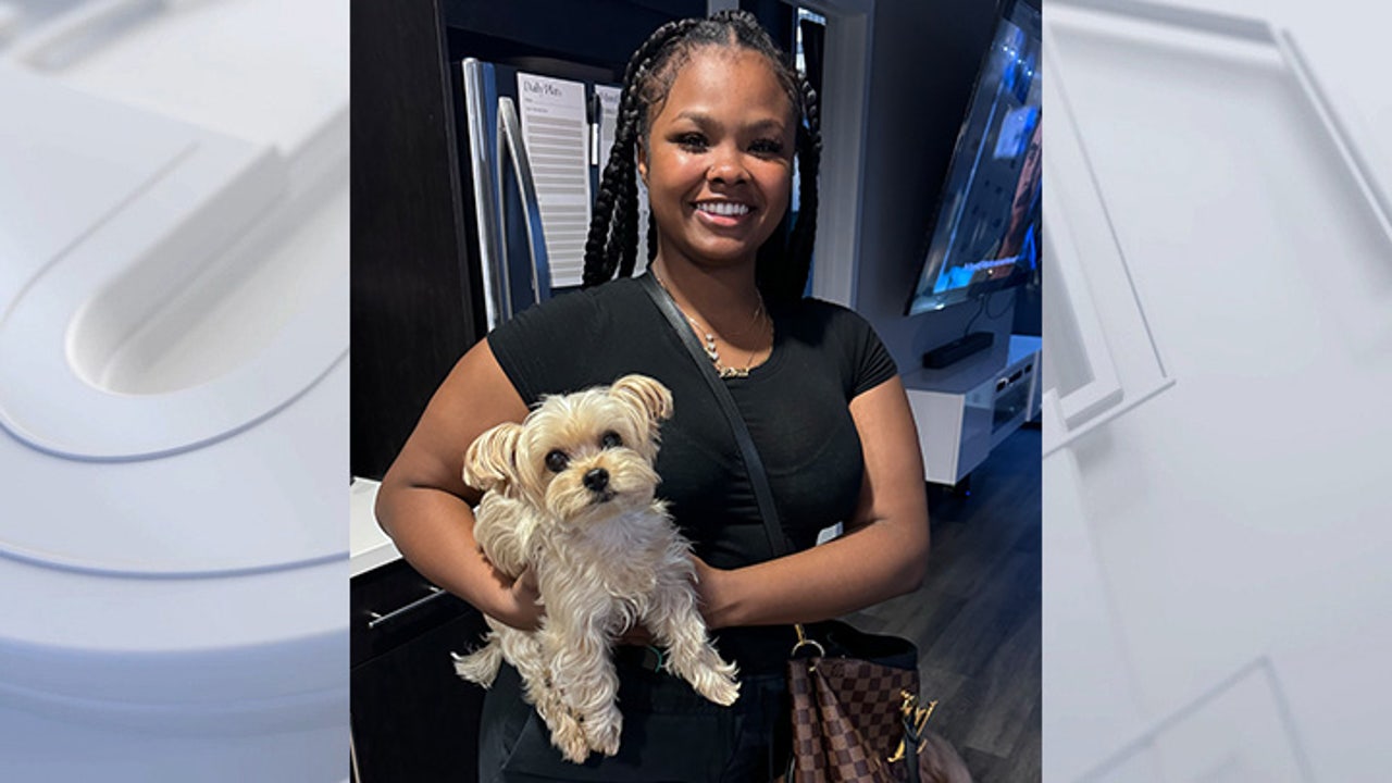 Lanai Dees: Family, investigators seek answers in deadly South LA shooting