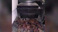 5 cited for out-of-season lobster poaching along Palos Verdes coast