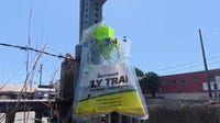 Boyle Heights residents call for evacuation order amid dangerous fly infestation