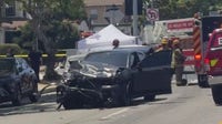 2 dead, child critically injured in Hyde Park high-speed crash