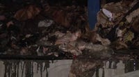 Rotting pig feet, crab meat, beef at burned Boyle Heights warehouse fueling odor, health concerns