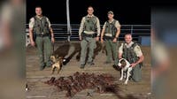 6 arrested at Santa Monica Pier in spiny lobster poaching crackdown
