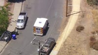 Snake bite reported in Valencia neighborhood