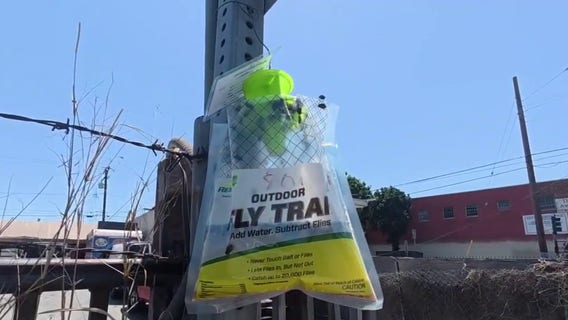 Boyle Heights residents call for evacuation order amid dangerous fly infestation