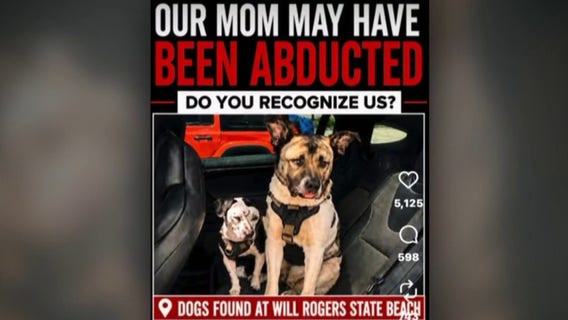 2 dogs found alone at Will Rogers State Beach spark mystery over missing owner
