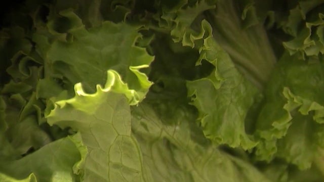 California's Taylor Farms under federal investigation in nationwide cyclospora outbreak