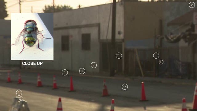 Boyle Heights residents battle fly infestation, foul odors as Lineage warehouse cleanup continues