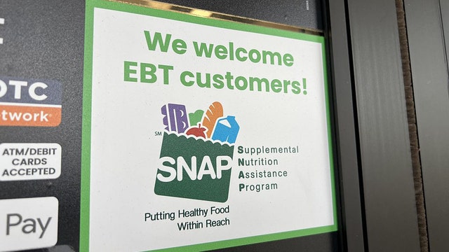 DOJ: Two undocumented immigrant brothers from Romania plead guilty to multi-state stolen SNAP benefit scheme