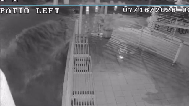 Century-old water main floods West Hollywood, damages businesses as questions grow over aging infrastructure