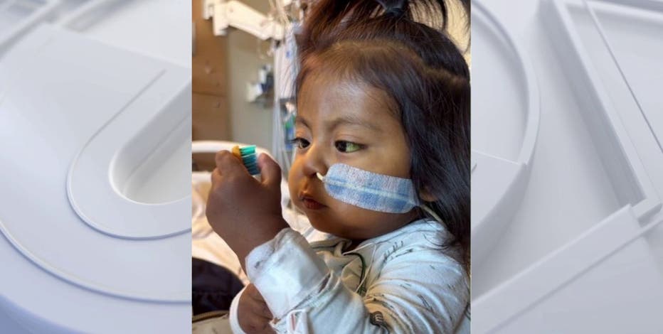 'Clean LA with Me' content creator's toddler son needs liver transplant