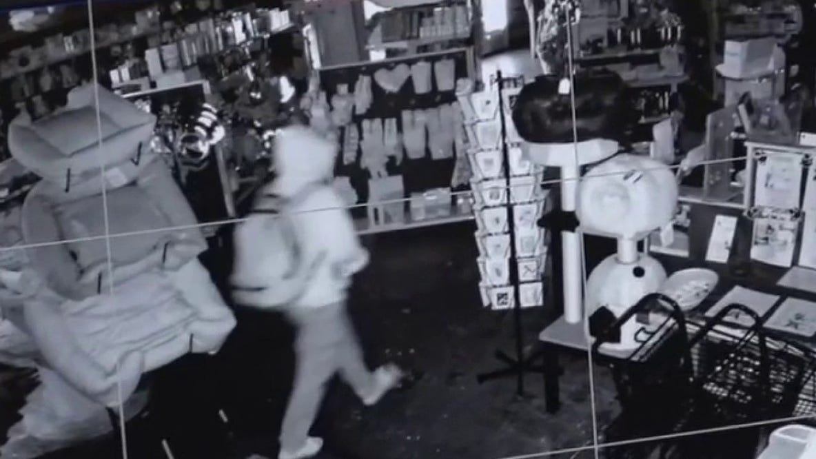Burglar smashes window at longtime Fairfax District pet store