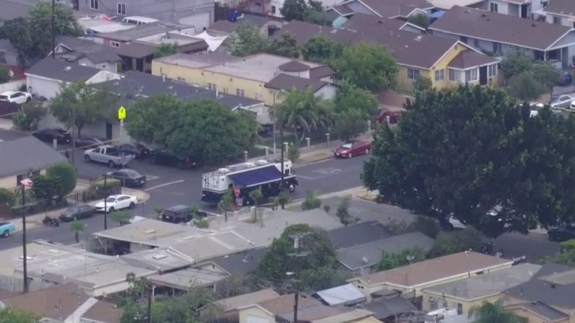 Dog shot by LAPD in South Los Angeles