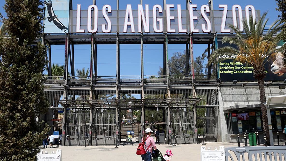LA Zoo tickets may see another price increase