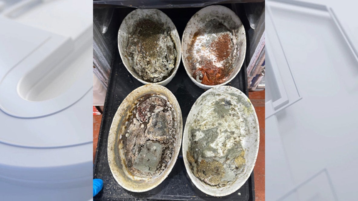 Maggots and mold: Union files safety complaint on behalf of LAX food workers
