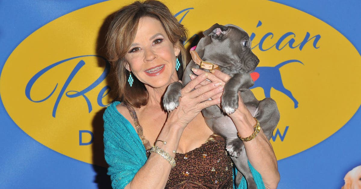 Investigators search 'Exorcist' actress Linda Blair's LA County animal rescue property for compliance