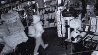 Burglar smashes window at longtime Fairfax District pet store
