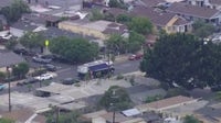 Officer bitten, dog shot after LAPD responds to domestic dispute call in South LA