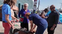 Los Angeles mayoral candidates face calls for action on Skid Row animal welfare
