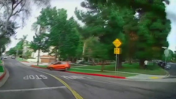 LA couple says driver jumped the curb and chased them while they walked their dog