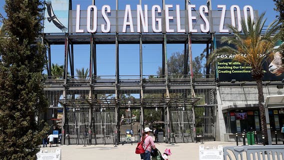 LA Zoo tickets may see another price increase