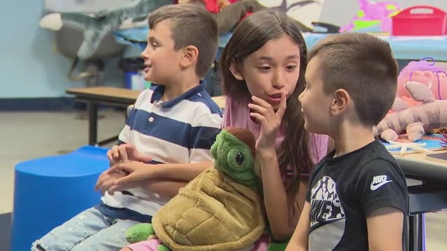 Wednesday's Child: Three siblings looking for one forever home