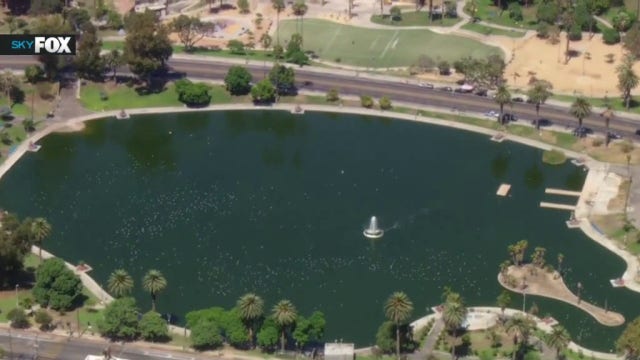 Is MacArthur Park safe to visit Labor Day Weekend? DA Hochman to put it to the test