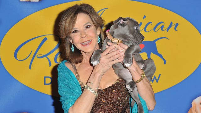 Investigators search 'Exorcist' actress Linda Blair's LA County animal rescue property for compliance