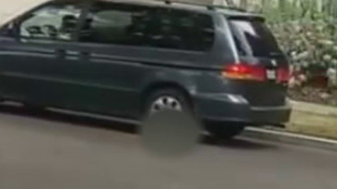 Santa Ana police searching for woman who deliberately ran over puppy